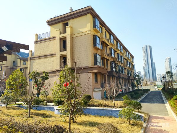 (更名房省税费)观山名筑三期 联排别墅中间套 纯毛坯大花园