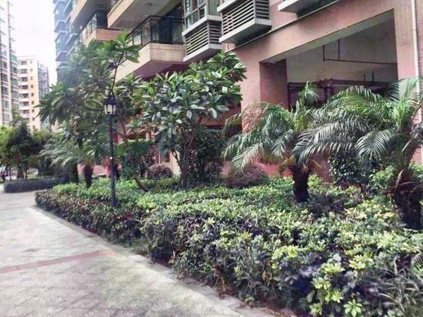 【多图】固戍花园,固戍租房,固戍地铁 精装修一房一厅押一付一民水电