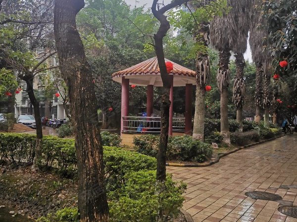 桂林临桂榕山金汇嘉园人民路金狮巷金汇嘉园步梯2楼3房有床电热水器哦