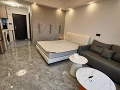 铜仁碧江碧江城区南岳清水湾精装单身公寓出租 附近多套 1100起 可咨询出租房源真实图片