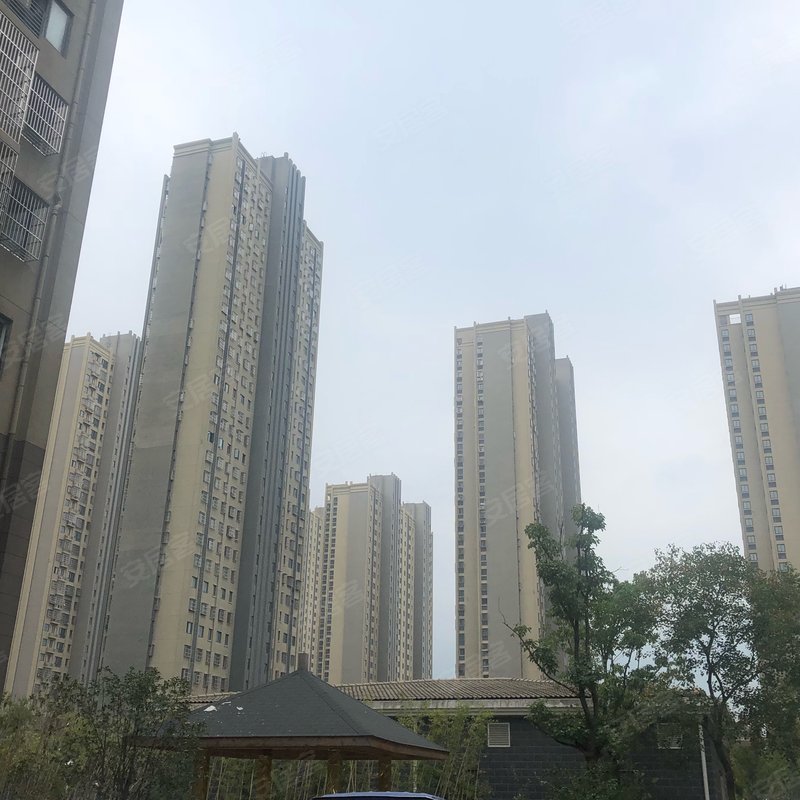 【滨湖菊园, 滨湖菊园小区详情,房价走势,房源,业主论坛】- 合肥58