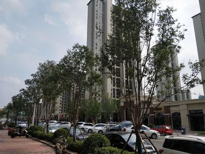 万科橙郡,平山路-徐州万科橙郡二手房,租房-徐州安居客