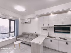 蚌埠蚌山新城区银泰！万达！奥园公寓！精装两室！实拍房源！随时看房出租房源真实图片