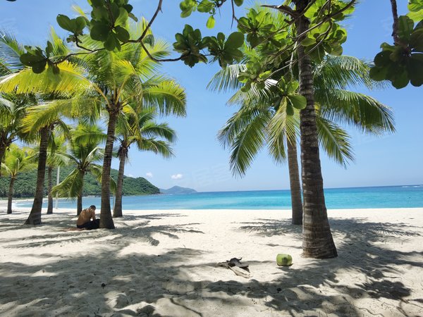 三房二卫 高层海景 拎包入住 交通便利 可看房出租房源真实图片