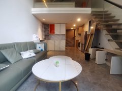 东莞南城南城车站新上房源 保利欢乐大都汇复式一房一厅 全屋定制出租房源真实图片