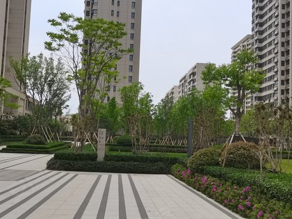 万科公园大道