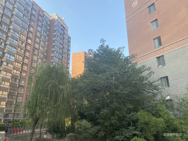 洛阳房产网>洛阳二手房>洛龙二手房>大学城二手房>书香苑>800_600