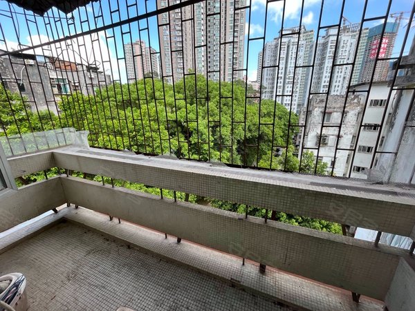 深圳罗湖翠竹翠竹苑3号线翠竹,田贝,近人民医院,居家两房,公立学校