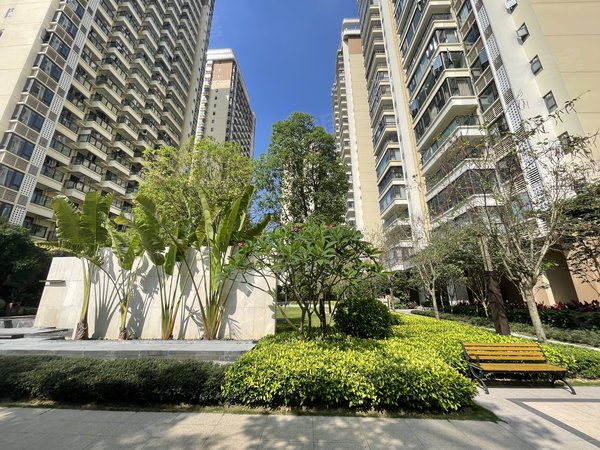 南宁兴宁区政府兴宁大唐果兴宁区妇幼,一房一厅出租,5号线地铁口,可养