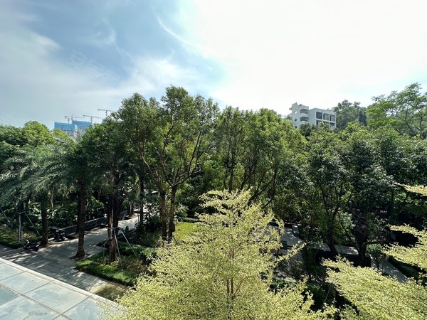 深圳南山华侨城燕晗山苑燕晗山居 二居室 推窗见绿 安静 舒适 阳台看