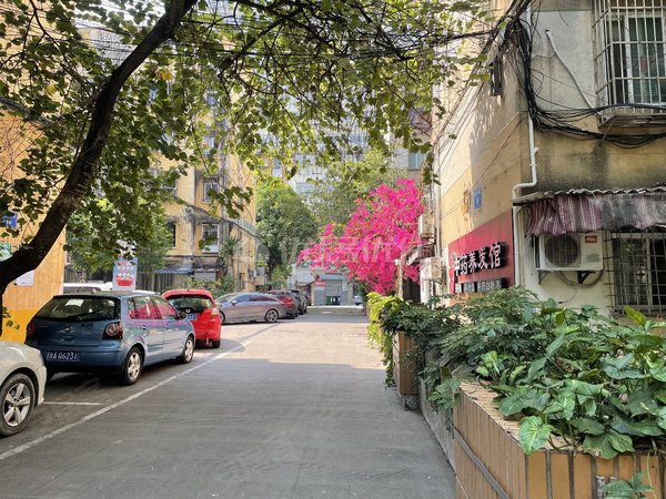 【多图】新竹小区,新竹租房,麻村一号线 新竹小区步梯4楼 三房整租 看