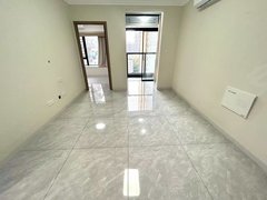 深圳罗湖布心新上 罗湖新房 现状空房 精装2房 停车位充足 布心地铁口出租房源真实图片