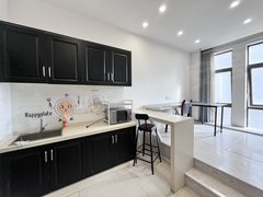 苏州吴中城南欧蓓莎公寓，一室一厅急租，通透，精装修，拎包入住出租房源真实图片