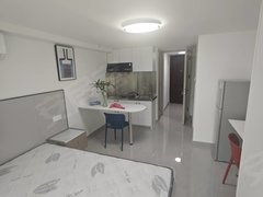 苏州金阊金阊新城星光耀广场 1室1厅1卫 电梯房 拎包入住出租房源真实图片