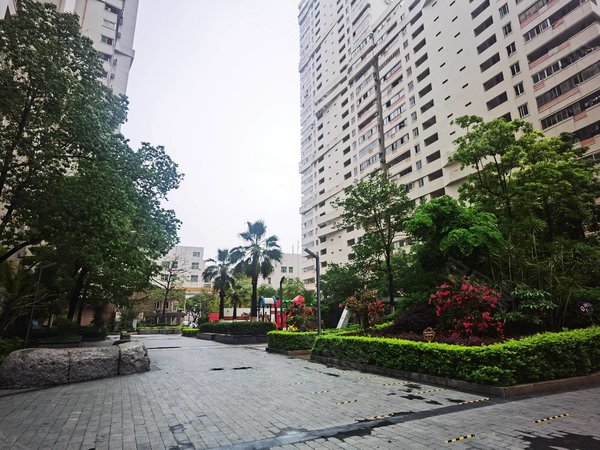 泉州洛江万安街道阳光国际广场洛江区政府旁精装两房高层拎包住出租