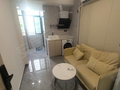 深圳龙华民治5号线民治站近深圳北 精装修 南北通透  民水民电 配套齐全出租房源真实图片