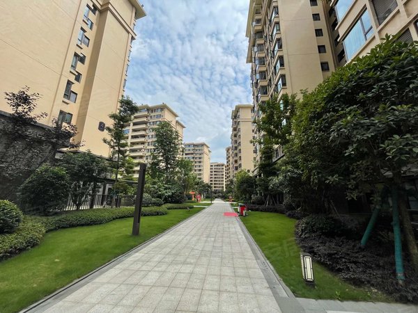 成都双流东升镇碧桂园悦府精装套四 家电齐全5空调 双流万达 地铁口