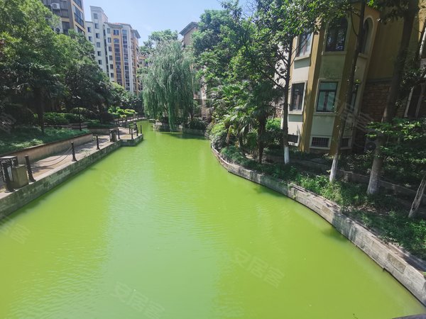 【多图】新城翡翠湾,通澄租房,城西新城翡翠湾 热租花园洋房 配套齐全