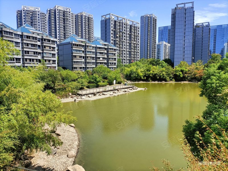 合肥房产网>合肥二手房>政务二手房>天鹅湖二手房>天鹅湖畔小区>