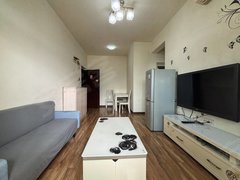 重庆大渡口九宫庙大渡口正规一室一厅临近轻轨站商圈,精装修拎包入住出租房源真实图片
