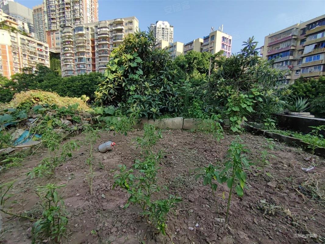 重庆房产网>重庆二手房>渝中二手房>渝中区观音岩二手房>枣子岚垭正街