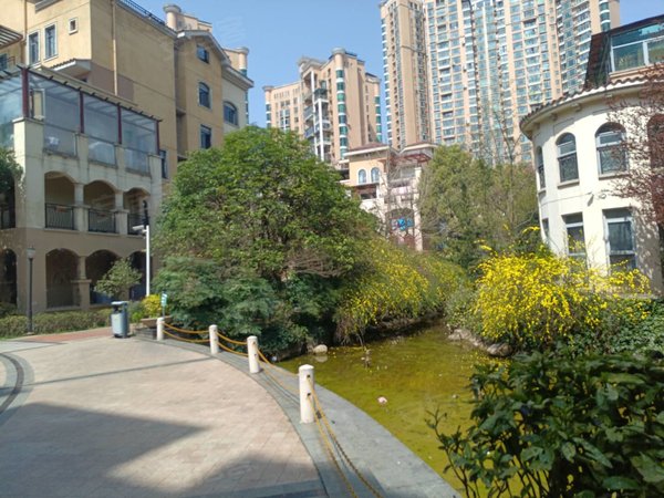 金龙国际,花园洋房,带空调,家私电器齐全,随时看房,观山湖租房-贵阳58