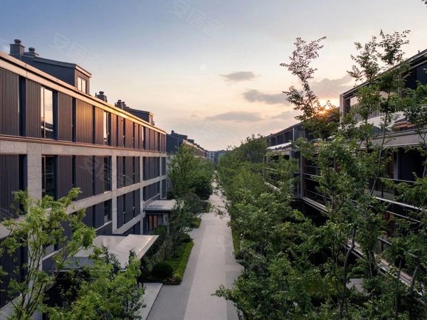 杭州余杭五常晓月澄庐未来科技城,阿里巴巴旁,绿城叠墅,晓月澄庐,拎包