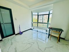 上海宝山上海大学地铁口 上海大学对面 超大空间一室户带厅 天燃气厨房洗澡出租房源真实图片