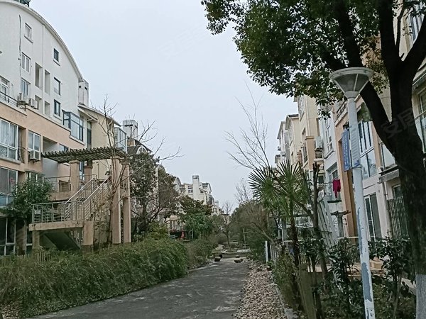上海松江莘闵丽水华庭(别墅)实景拍摄,房主出租无中间费用,60近,靠近
