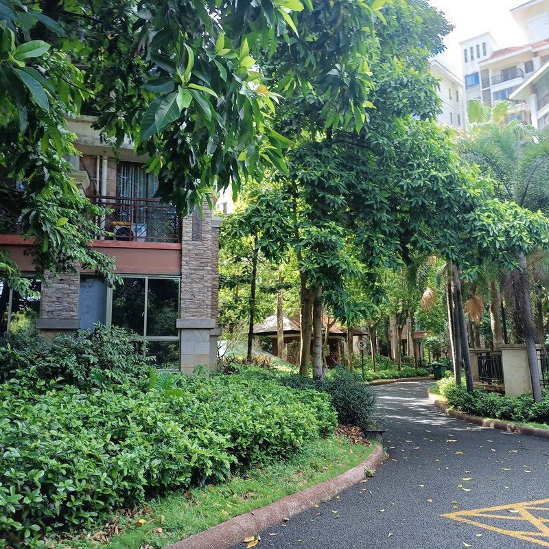 【紫园a区, 紫园a区小区专家解读页】- 海口58同城