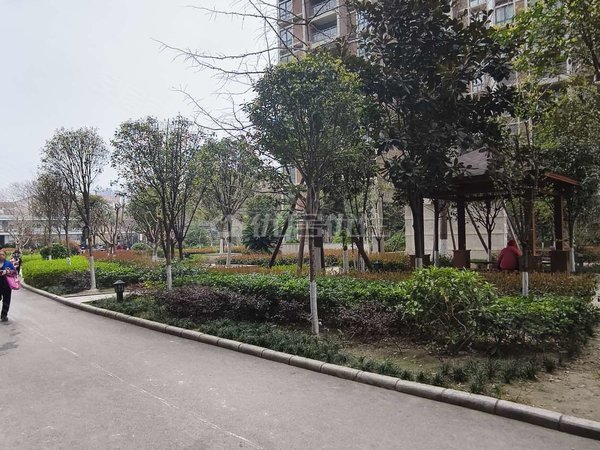 坝租房,3室 整租 浩兴城南御郡 电梯房 精装 采光通透,涪城租房-绵阳