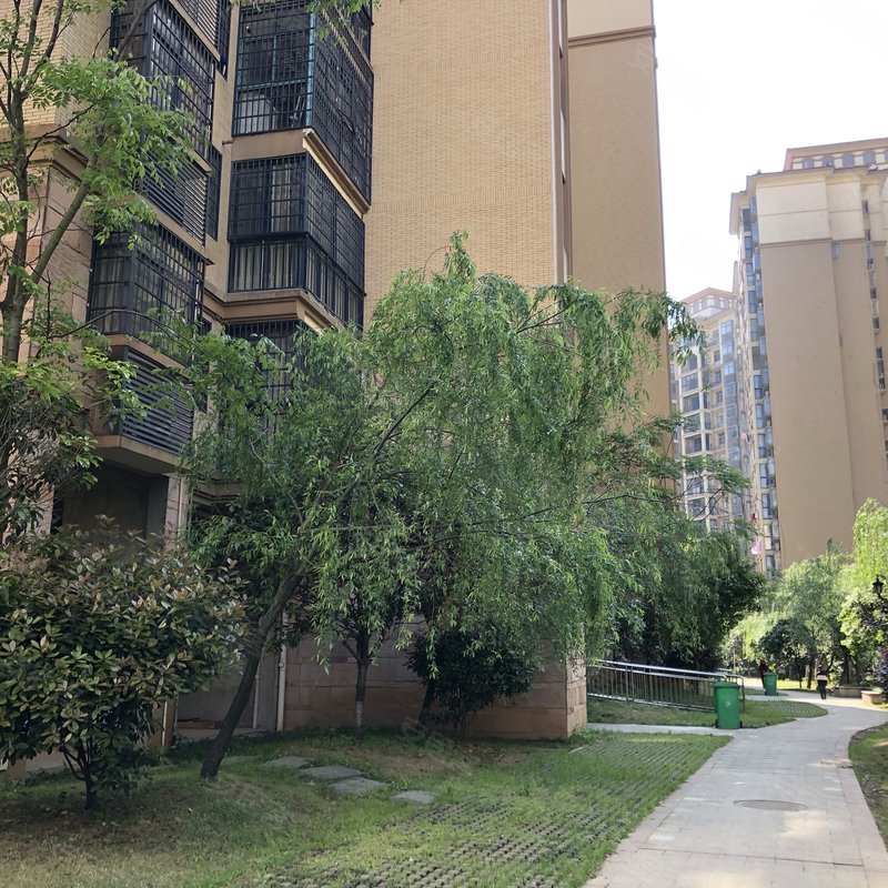 【君临上海湾, 君临上海湾小区详情,房价走势,房源,业主论坛】- 益阳