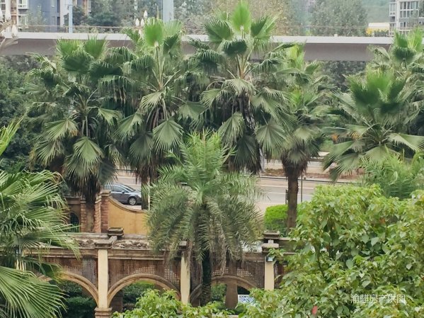 【多图】绝不以假价格吸引客户 杜绝假价格 真