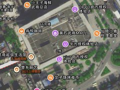 黄石西塞山花园广场万利大厦 3室2厅2卫出租房源真实图片