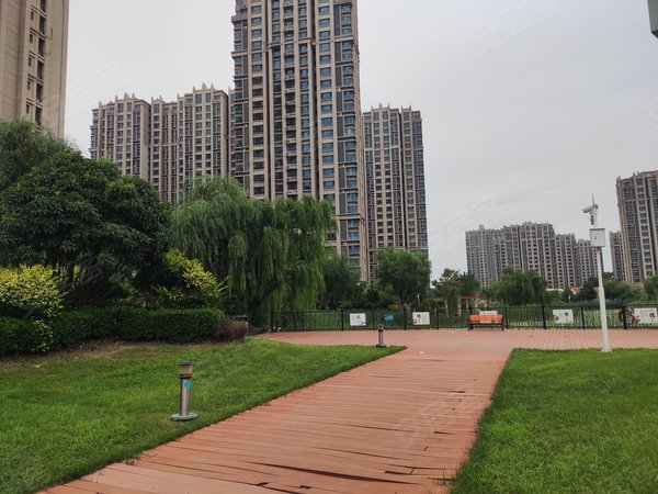青岛城阳棘洪滩青岛碧桂园青岛碧桂园!南北通透!环境优美!交通便利!