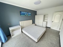 爱琴海附近  精装一室 一厅 拎包入住  新装修的  第一次