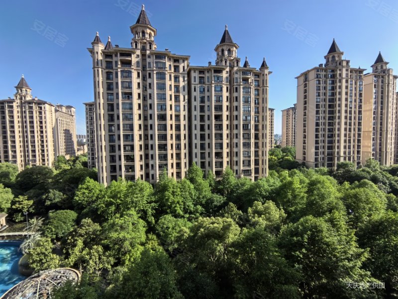 聚焦别墅 星河湾 看了就会喜欢 价格可大谈 诚售 请不要错过