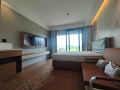 三亚天涯金鸡岭三亚湾凤凰水城南向一室一厅只短租出租房源真实图片