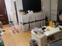 青岛市北信息城泰山路99号 1室1厅1卫出租房源真实图片