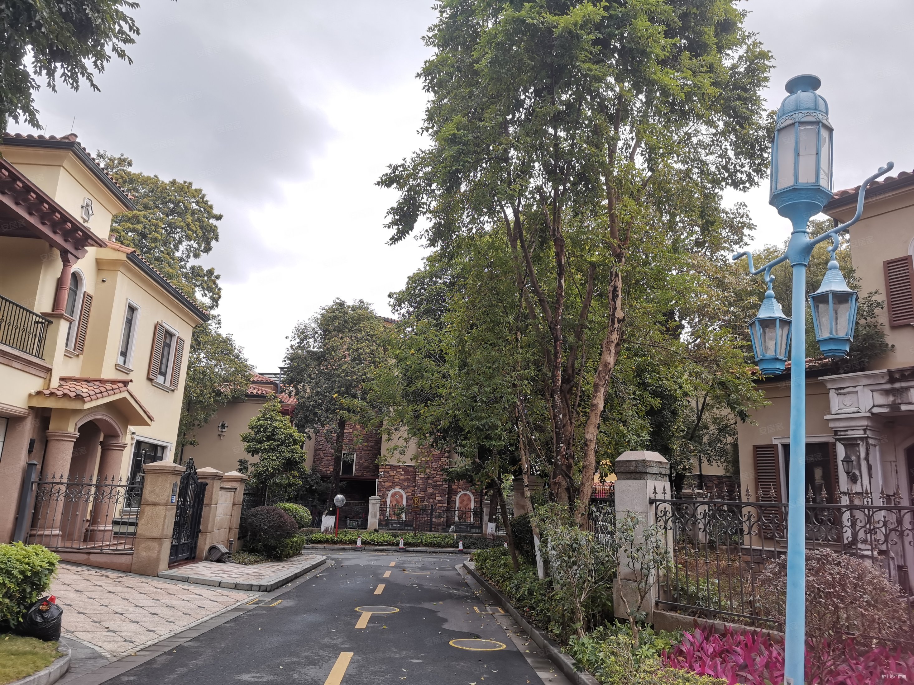 中信御园680平独栋别墅6房大花园出门就是黄旗虎英诚意售