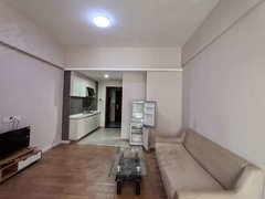 东莞道滘道滘城区文一商住城 1室1厅1卫  电梯房 精装修50平米出租房源真实图片