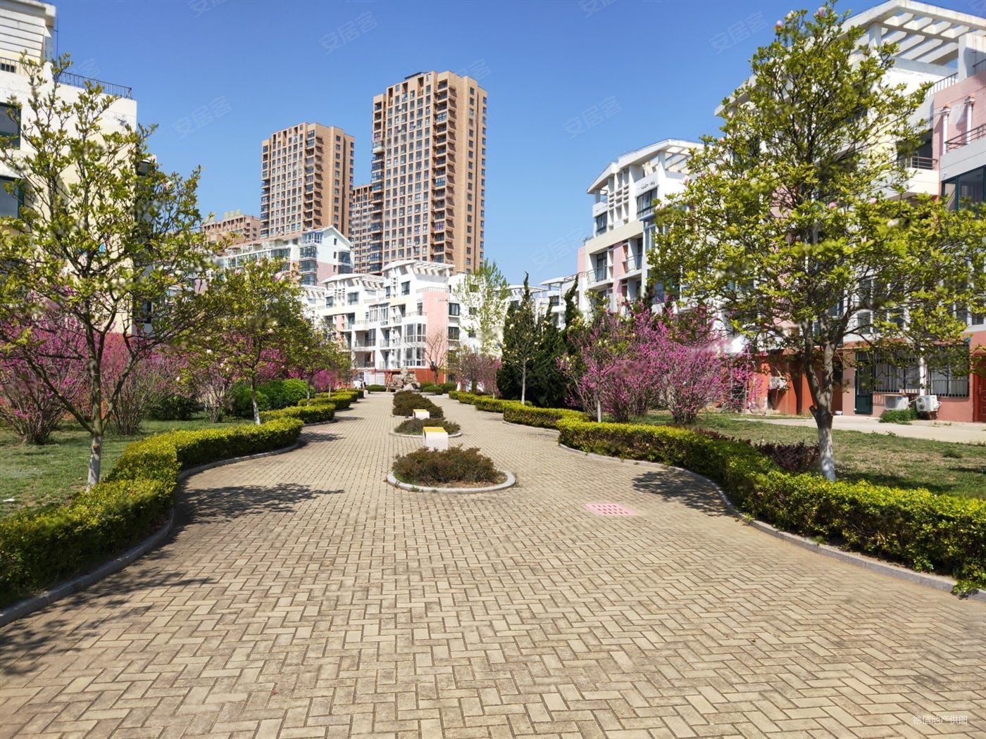 银海花园5室3厅4卫289㎡南130万