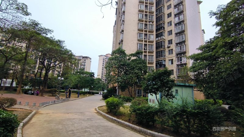 河西一梯一户金河湾2012年四期电梯满五智美小实验中