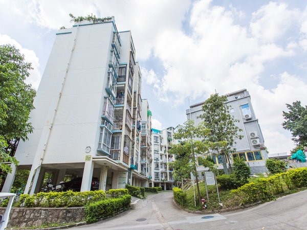 深圳龙华民治梅花山庄新出!