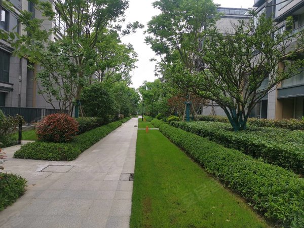 宁波鄞州东部新城维科水岸春晖维科水岸春晖 4室2厅2卫出租房源真实