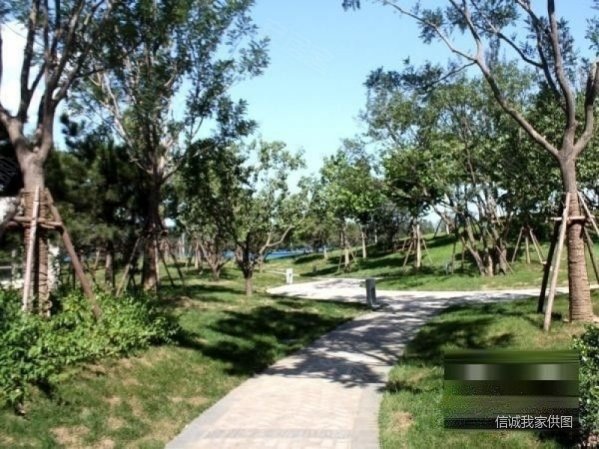 大兴区天宫院金融街融汇开发商精装3居室南北