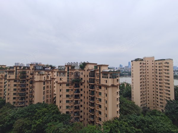 【多图】星河湾半岛,星河湾租房,星河湾半岛92方南向2房,家私齐全