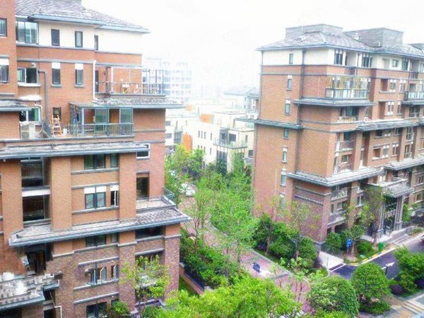 上海宝山大华梧桐城邦(三期别墅)网红,创业者,富豪来看看你们的金屋