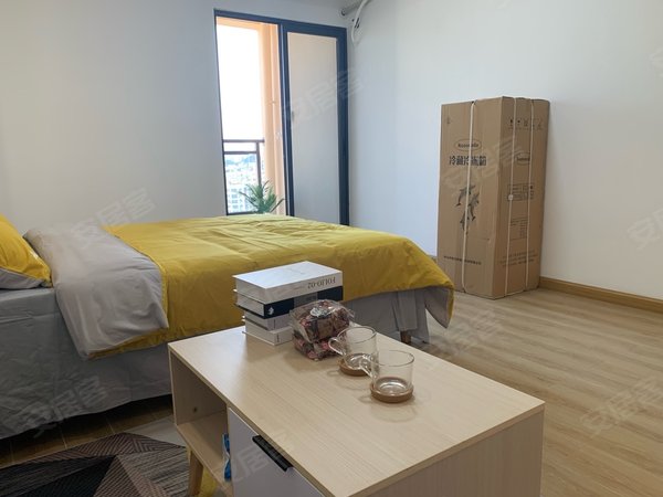 深圳布吉李朗永发大厦下水径地铁c口高层精装修公寓大单间带阳台超广