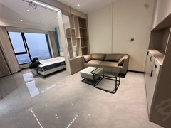 金华东阳东阳江北高层落地窗江景房！银泰周边金星小区超大一室一厅 停车方便出租房源真实图片